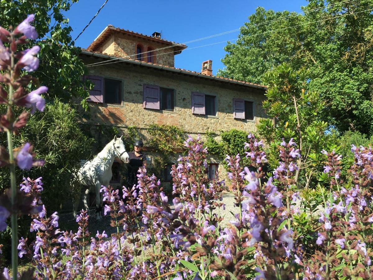 Farmhouse B&B Il Paretaio Barberino di Val dʼElsa Exteriér fotografie