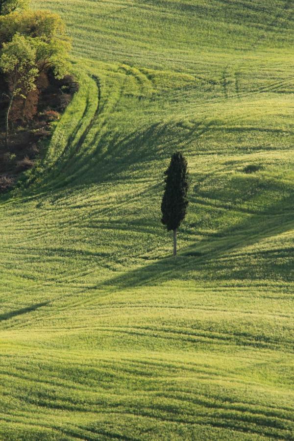 Farmhouse B&B Il Paretaio Barberino di Val dʼElsa Exteriér fotografie