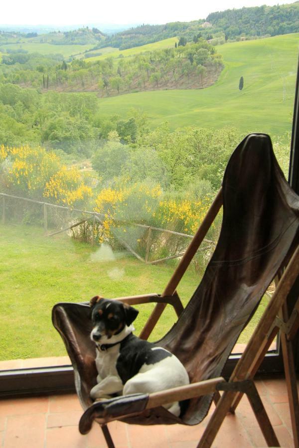 Farmhouse B&B Il Paretaio Barberino di Val dʼElsa Exteriér fotografie