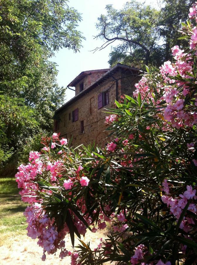 Farmhouse B&B Il Paretaio Barberino di Val dʼElsa Exteriér fotografie