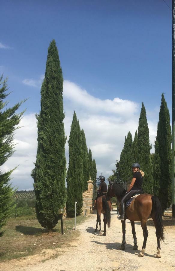 Farmhouse B&B Il Paretaio Barberino di Val dʼElsa Exteriér fotografie