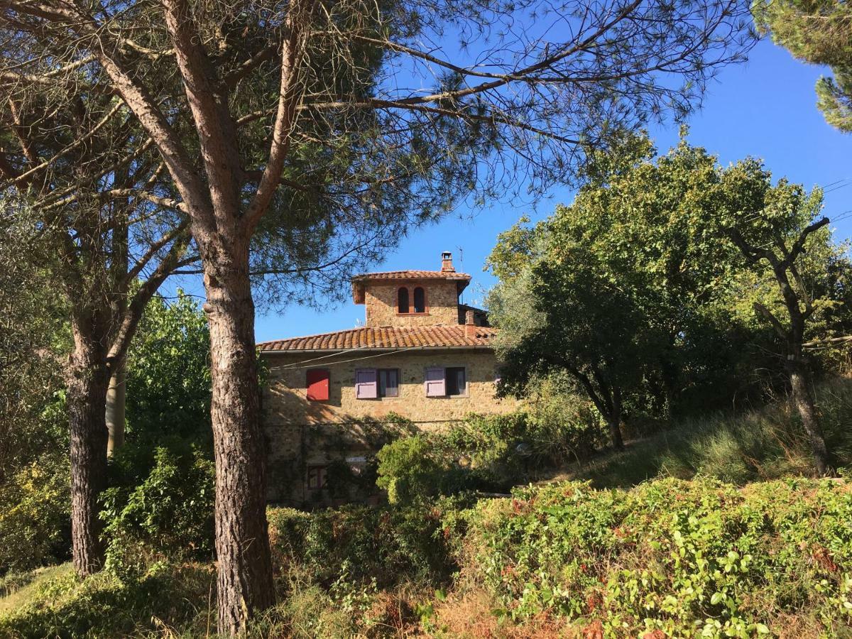 Farmhouse B&B Il Paretaio Barberino di Val dʼElsa Exteriér fotografie