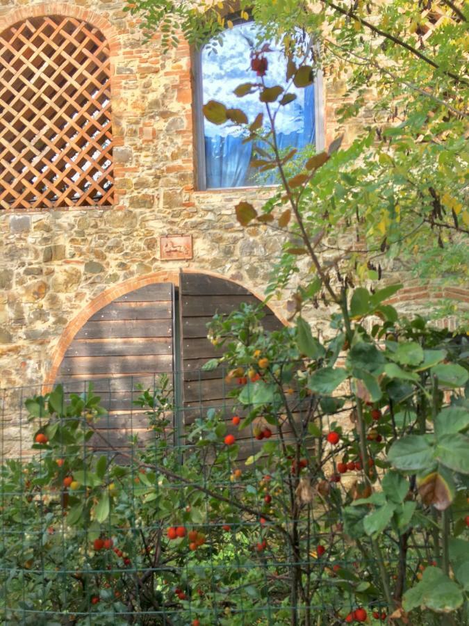 Farmhouse B&B Il Paretaio Barberino di Val dʼElsa Exteriér fotografie